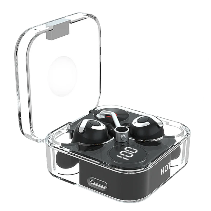 Earbuds TS20